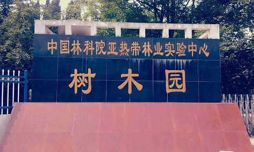 中国林科院亚热带林业实验中心树木园
