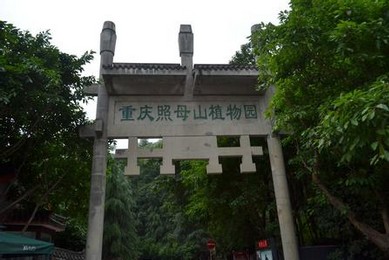 重庆照母山植物园