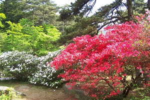 江西庐山植物园