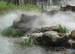 杭州天景水生植物园