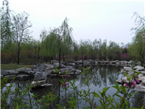 阳泉植物园